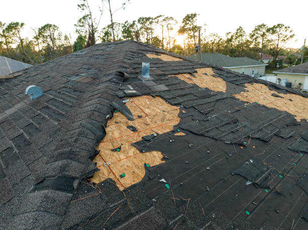 Best Solar Panel Roofing Installation  in River Road, NC